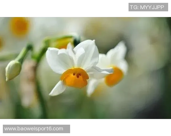 安布罗西尼赞莫德里奇正能量如马尔蒂尼般激励队友